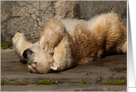 Polar Bear Retirement card