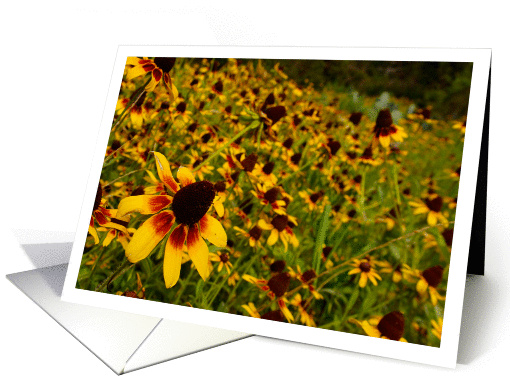 wildflowers card (645104)