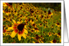 Happy Birthday Spring Flowers card