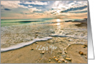 Love, You are Special to Me Sea Shells and Sunset card