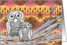 Owls 1 card