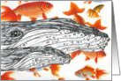 Whales 1 card