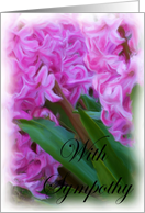 With Sympathy, pink Hyacinth card
