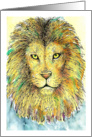 Any Occasion Colorful Lion Portrait card