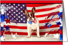 Happy Fourth of July, French Bulldog & American Flag, humorous card