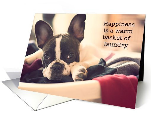 French Bulldog Humor, Happiness is a warm basket of laundry card