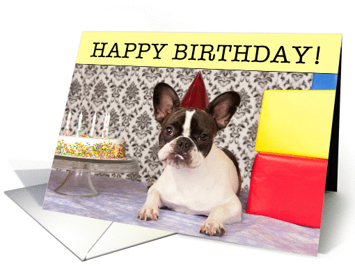 Birthday, French Bulldog with cake, Humor card (647396)