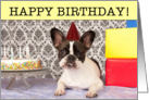 Birthday, French Bulldog with cake, Humor card