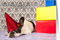 Birthday, French Bulldog Humor card