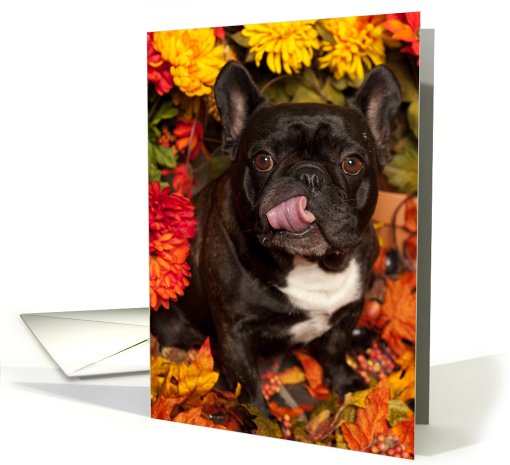 It's Fall, Brindle French Bulldog Happy card (669242)