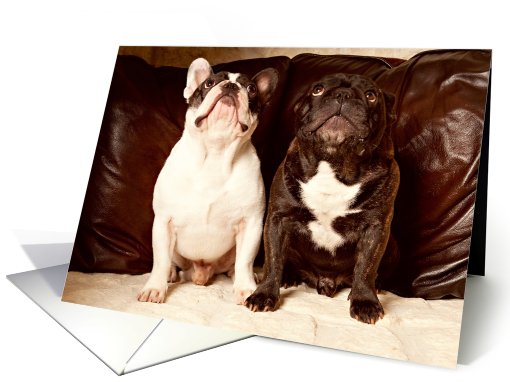 Friendship, Brindle and Pied French Bulldog card (669244)