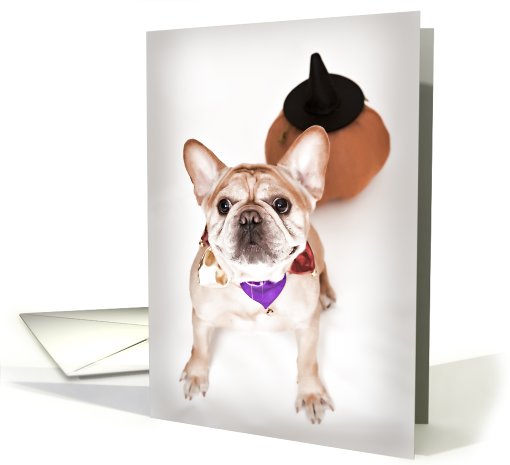 Fawn Colored French Bulldog Halloween card (698023)