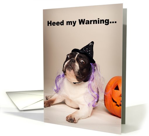 Pied Colored French Bulldog Halloween card (698045)