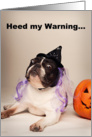 Pied Colored French Bulldog Halloween Card