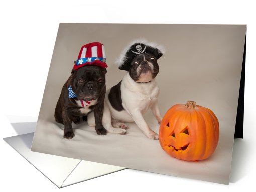 Brindle and Pied French Bulldog Halloween Card card (698049)