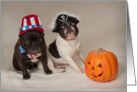 Brindle and Pied French Bulldog Halloween Card Card