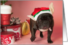 Brindle French Bulldog Christmas Card