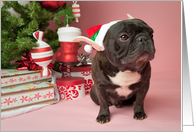Brindle French Bulldog Christmas Card