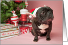 Brindle French Bulldog Christmas Card