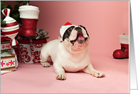 Pied French Bulldog Christmas Card