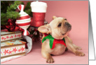 Fawn French Bulldog Christmas Card