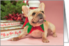 Fawn French Bulldog Christmas Card