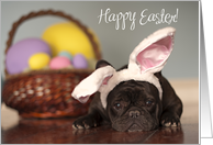 French Bulldog Easter Card