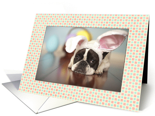 French Bulldog Easter card (793866)