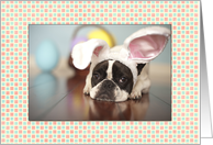 French Bulldog Easter Card