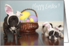 French Bulldog Easter Card