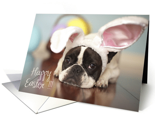 French Bulldog Easter card (793881)