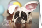 French Bulldog Easter Card