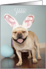 French Bulldog Easter Card