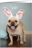 French Bulldog Easter Card