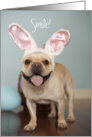 French Bulldog Easter Card