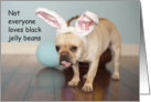 French Bulldog Easter Card