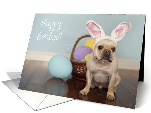 French Bulldog Easter card (794400)