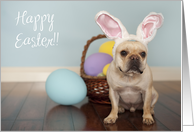 French Bulldog Easter Card