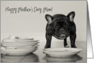 Funny French Bulldog Mother’s Day Card