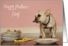Funny French Bulldog Mother’s Day Card