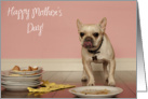 Funny French Bulldog Mother’s Day Card