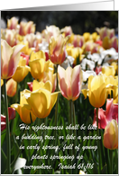 Thank You Tulips Christian card