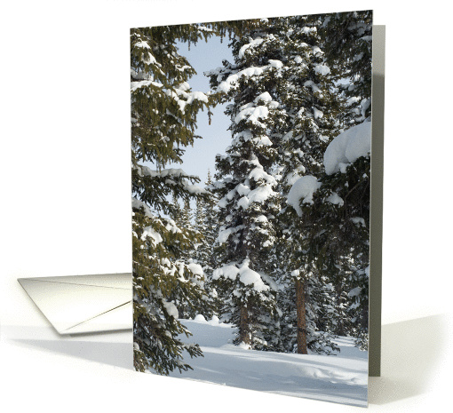 Christmas Snow Scene Beautiful Winter Forest card (879557)