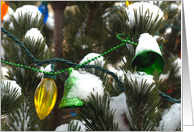 Merry Christmas, Ornaments and Lights on Outdoor Evergreen card