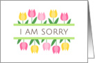 I’m sorry greeting card with pink and yellow tulip borders card