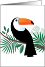 Toucan blank any occasion card