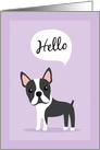 Boston terrier dog saying hello card