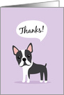 Boston terrier dog saying thank you card