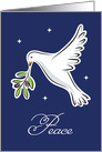 White dove holiday card with the text Peace on the front card