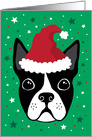 Boston terrier with Santa hat Christmas Holiday card